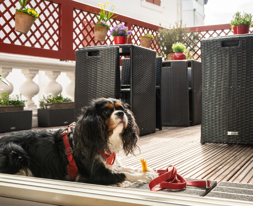 terrasse-hotel-les-almadies-saint-jean-de-luz-02